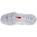 Mizuno WAVE MOMENTUM 2 V1GA211300
