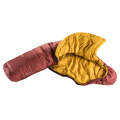 Deuter Astro 300 redwood-curry