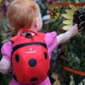 LittleLife Animal Toddler Backpack ladybird