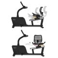 Insportline Velocer RMB