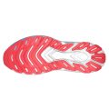 Mizuno WAVE SKYRISE 6(M) J1GC250906