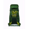OSPREY ACE 50 green canopy/matcha green
