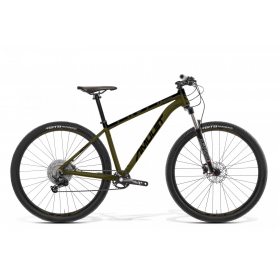 Amulet RIVAL 8.0 29 2024 chrome green/black