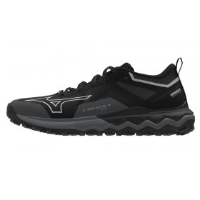 Mizuno WAVE IBUKI 4 GTX J1GJ225901